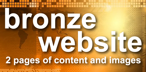 bronze website - 2 pages of content and images